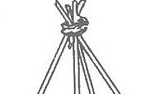 缸豆幾月份種？缸豆什么時候播種？