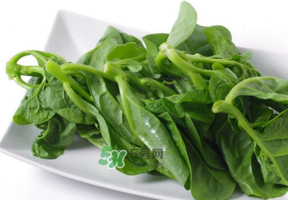 木耳菜怎么做好吃？木耳菜怎么吃