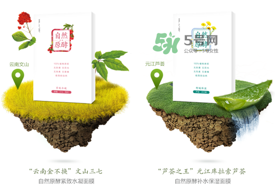 采之汲自然原酵面膜怎么用？采之汲自然原酵面膜使用心得