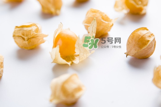 菇娘是寒性還是熱性？菇娘是哪里產(chǎn)的