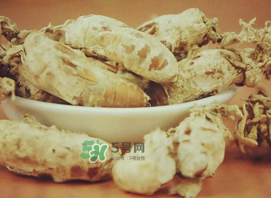 野生金蟬花多少錢一只？野生金蟬花價(jià)格