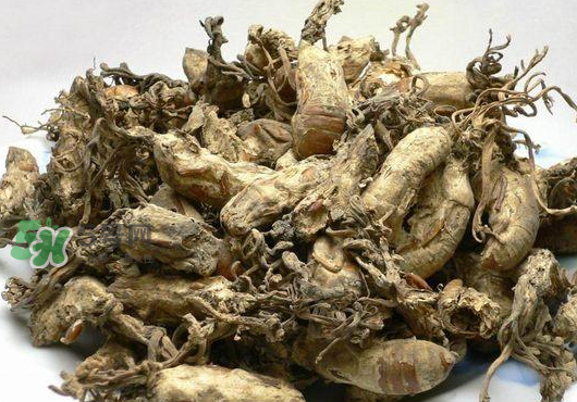 知了花多少錢一斤？野生知了花多少錢一斤2017？