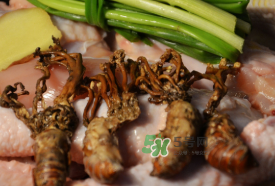 知了花多少錢一斤？野生知了花多少錢一斤2017？