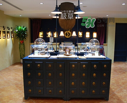 極草5x為什么不讓賣了？極草5x冬蟲夏草騙局