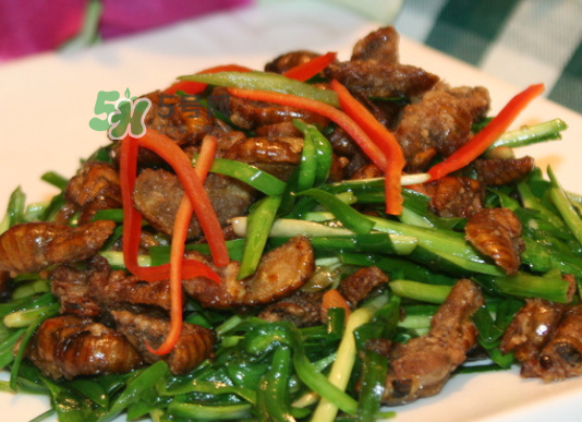 金蟬不能和什么一起吃？金蟬哪些人不能吃？