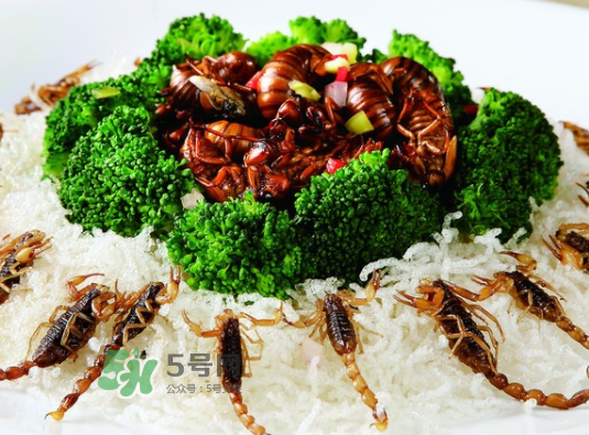 金蟬不能和什么一起吃？金蟬哪些人不能吃？