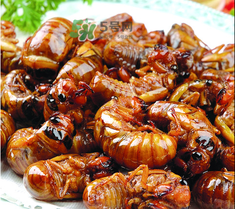 ?知了哪個部位可以吃？?知了哪個部位不能吃？