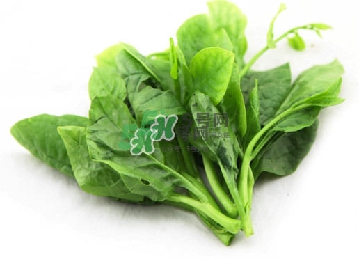 木耳菜怎么清洗？木耳菜怎么擇？