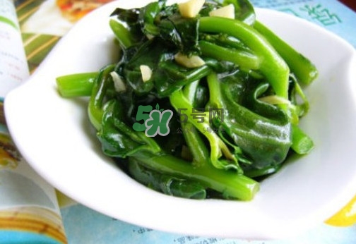 木耳菜是什么季節(jié)的菜？木耳和木耳菜有區(qū)別嗎