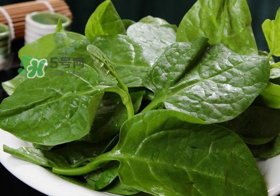 木耳菜可以生吃嗎？木耳菜可以涼拌嗎