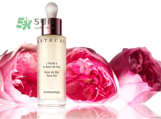 香緹卡是什么牌子？香緹卡屬于什么檔次？