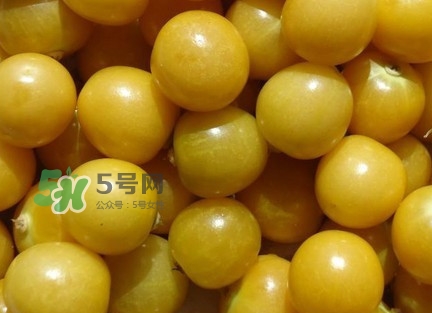 姑娘果有什么好處？姑娘果有什么功效