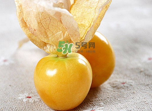 姑娘果可以直接吃嗎？姑娘果多吃有什么害處