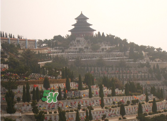 閏六月能上墳嗎？2017年閏月能遷墳嗎？