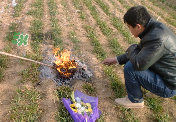 閏六月能上墳嗎？2017年閏月能遷墳嗎？