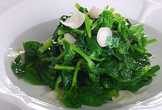 木耳菜是什么菜？木耳菜對(duì)人有哪些好處？