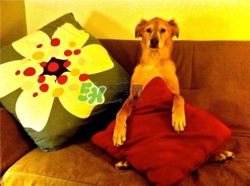 男人在公眾場(chǎng)合勃起如何化解尷尬？