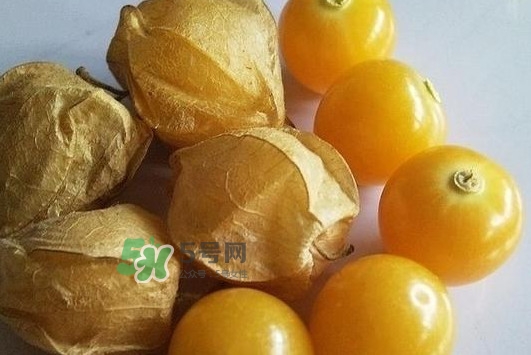 菇娘果皮有用還是果實(shí)有用？紅菇娘泡水喝用皮還是用果