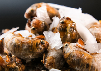 知了殼能能吃嗎？知了殼怎么吃？