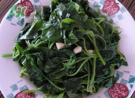 野莧菜有毒嗎？野莧菜怎么吃