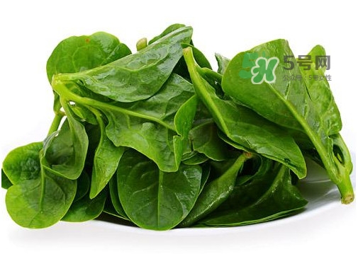 木耳菜能和豆腐一起吃嗎？豆腐可以和木耳菜一起吃嗎