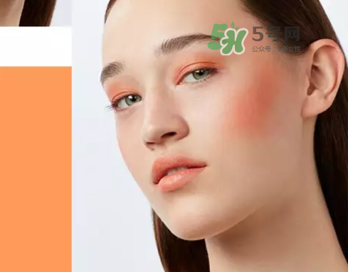 紀(jì)梵希高定四宮格腮紅怎么樣_專柜價格_色號