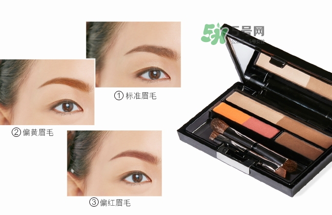 ipsa五色眉粉怎么用？ipsa茵芙莎五色眉粉使用方法