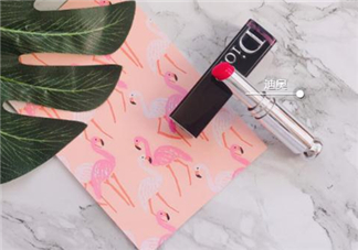 dior740和744哪個好看？迪奧740和744試色對比