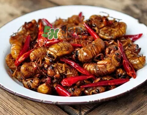 吃金蟬過敏怎么辦？吃金蟬為什么會過敏？