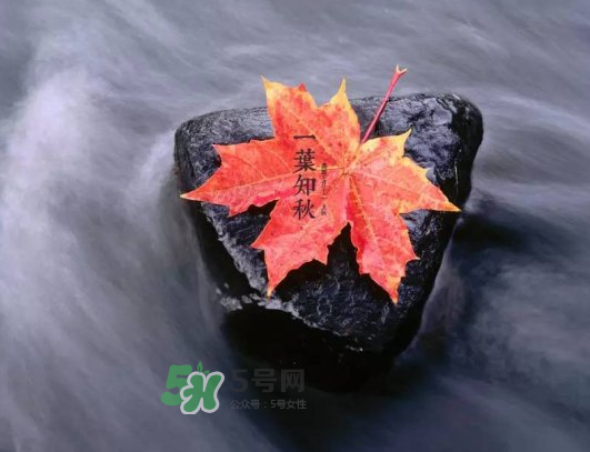 2017早立秋還是晚立秋？早立秋和晚立秋的區(qū)別