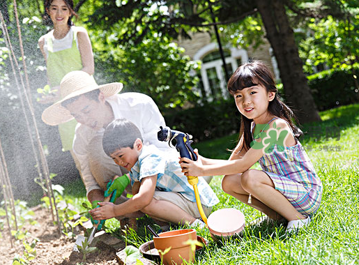 立秋可以種什么菜？立秋后可以種什么菜？