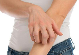 吃金蟬過敏怎么辦？吃金蟬為什么會過敏？