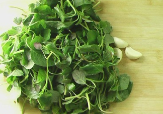 野莧菜怎么做好吃？野莧菜怎么保存