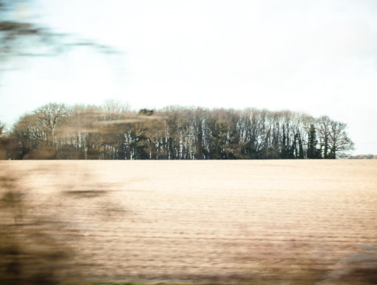 夢(mèng)見(jiàn)牙齒松動(dòng)或掉了是什么預(yù)兆？夢(mèng)到自己掉牙是怎么回事