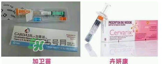 hpv疫苗9價(jià)4價(jià)2價(jià)有什么區(qū)別？hpv疫苗三款應(yīng)該怎么選？