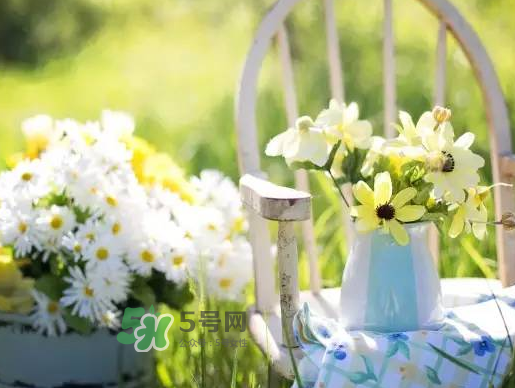 閏六月為什么熱？2017閏六月會多熱一個月嗎？