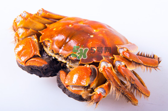 大閘蟹多少錢一斤2017？2017大閘蟹價格