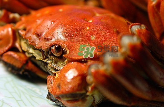 大閘蟹多少錢一斤2017？2017大閘蟹價格