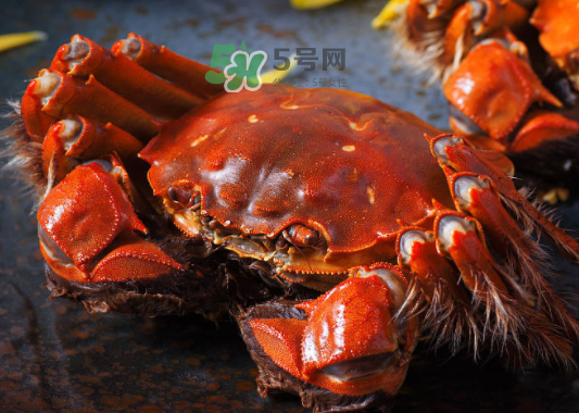 2017年陽澄湖大閘蟹多少錢一斤？2017陽澄湖大閘蟹價格