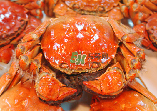 2017年陽澄湖大閘蟹多少錢一斤？2017陽澄湖大閘蟹價格