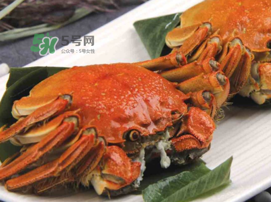 2017盤錦河蟹多少錢一斤？2017盤錦河蟹價(jià)格預(yù)測