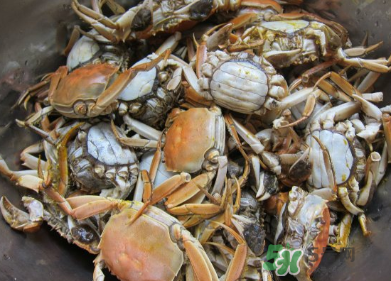 河蟹多少錢一斤2017？2017河蟹價格