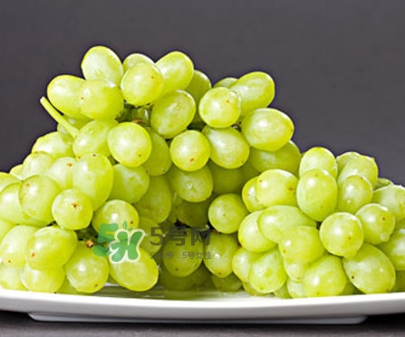 馬奶葡萄是提子嗎？馬奶葡萄怎么洗？