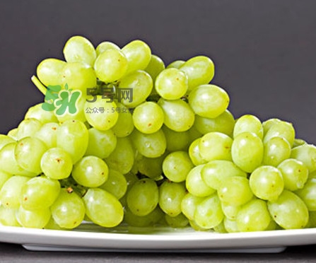 馬奶葡萄幾月成熟？吃馬奶葡萄有什么好處？