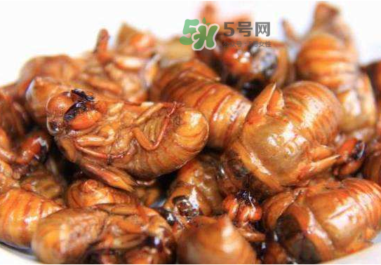 立秋后的知了還能吃嗎？立秋還有知了猴嗎？