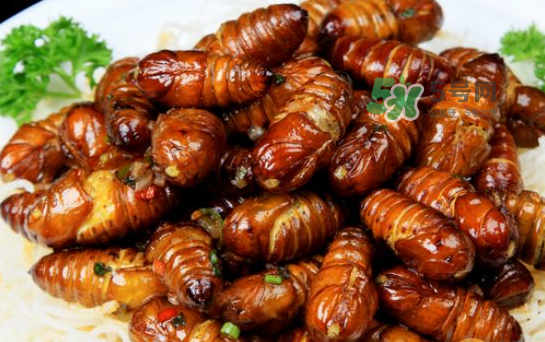 立秋后的知了還能吃嗎？立秋還有知了猴嗎？