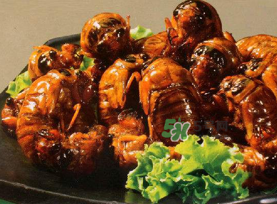 立秋后的金蟬能吃嗎？立秋后還有金蟬嗎？