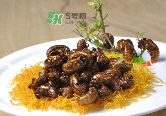 立秋后的金蟬能吃嗎？立秋后還有金蟬嗎？