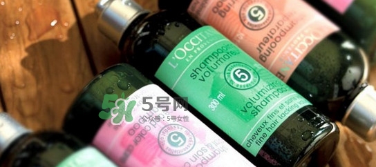 歐舒丹哪個系列最好？歐舒丹蠟菊系列好用嗎