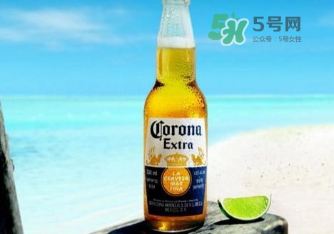 科羅娜啤酒多少錢一瓶？科羅娜啤酒好喝嗎